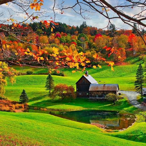 خلسه و لیتو بیزینس